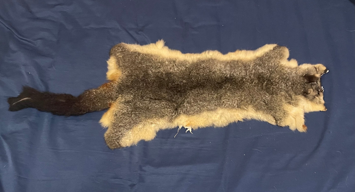 NZ Possum Pelt