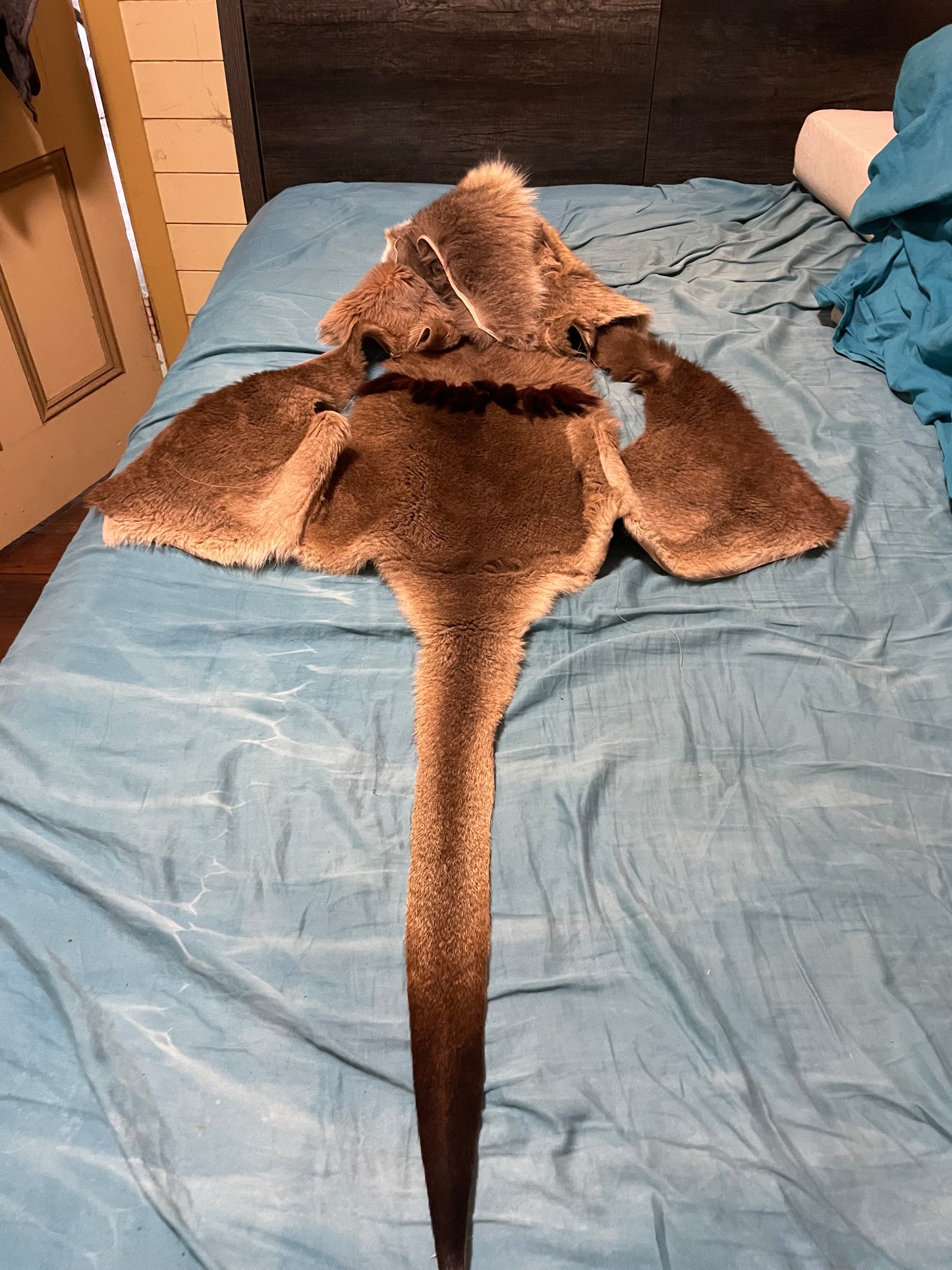 Kangaroo waistcoat with hoody