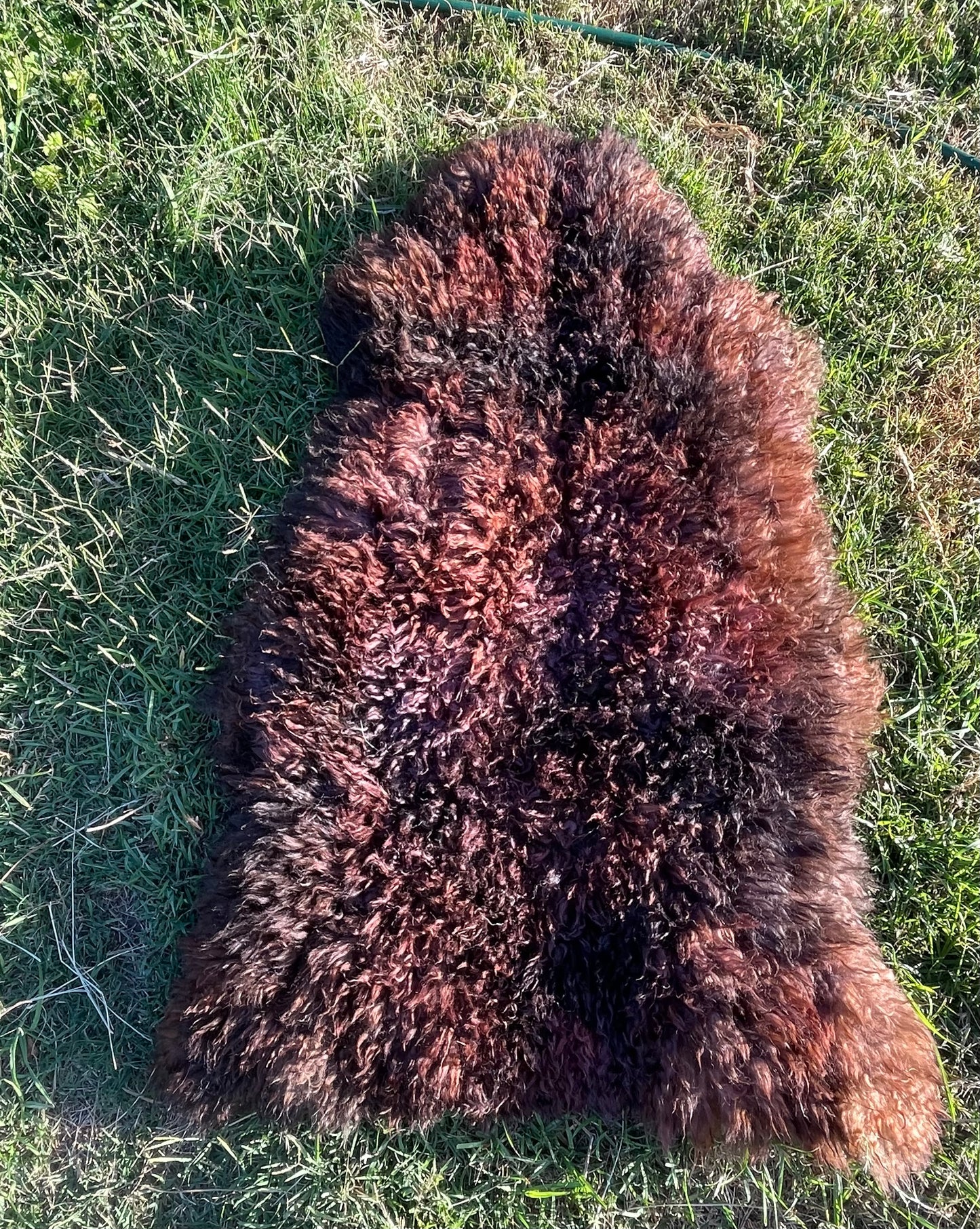 Australian Sheepskin