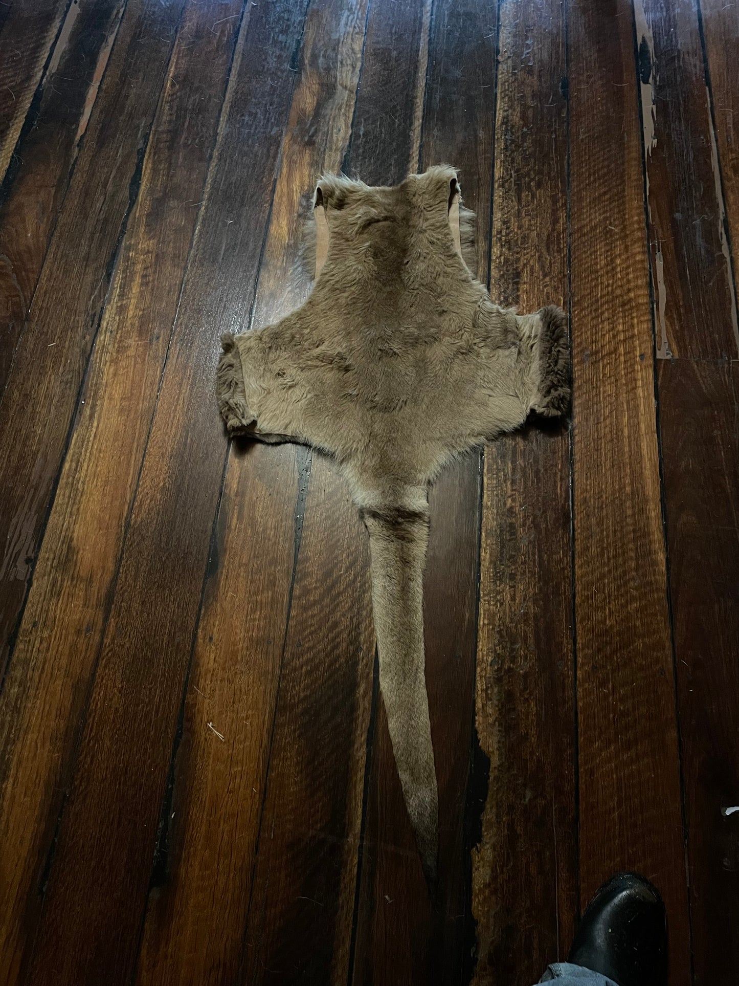 Kangaroo Tail Waistcoat
