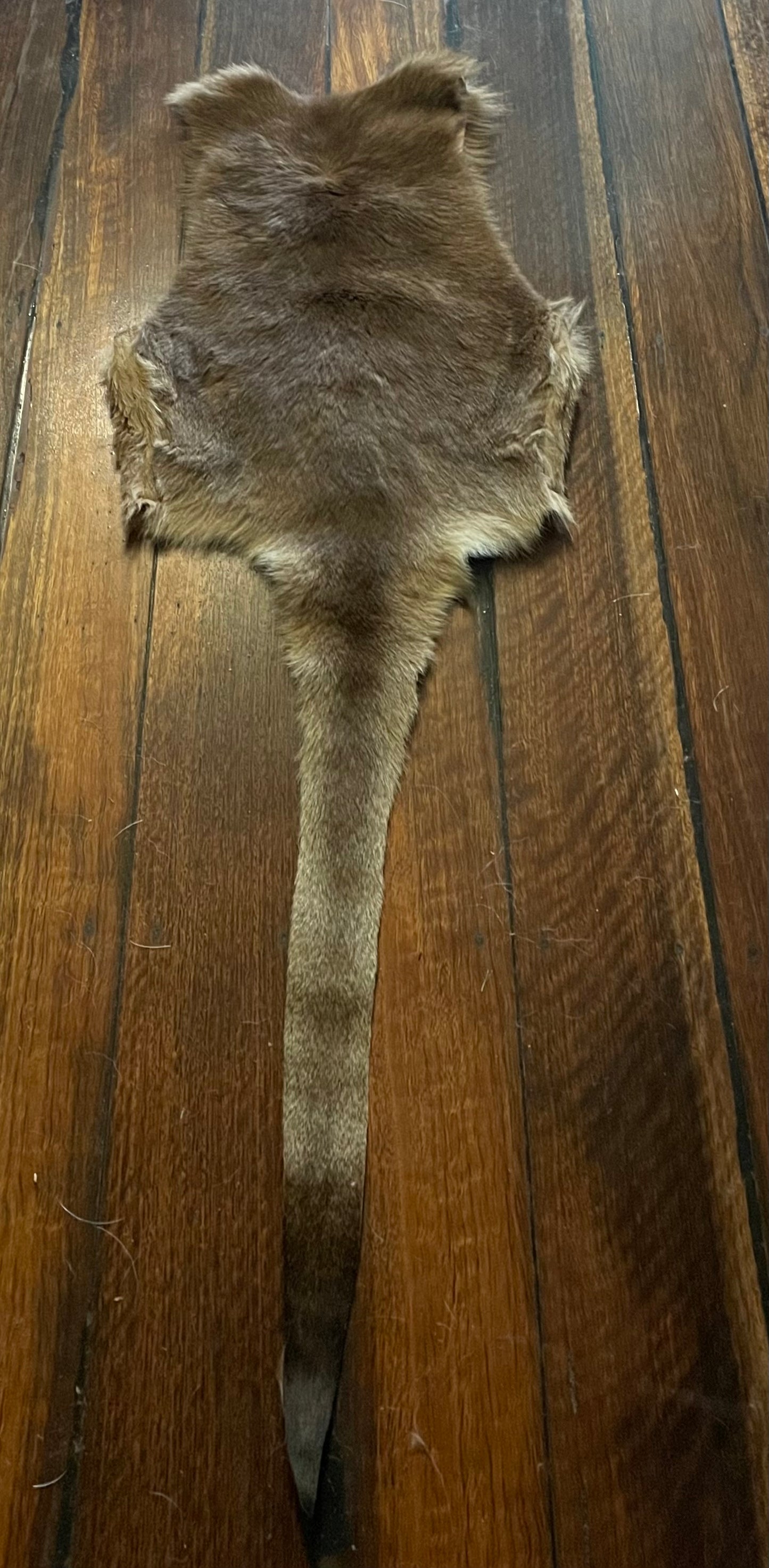 Kangaroo Tail Waistcoat