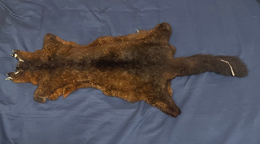 NZ Possum Pelt