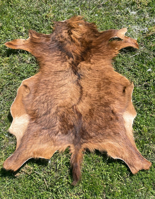 Goat Hide