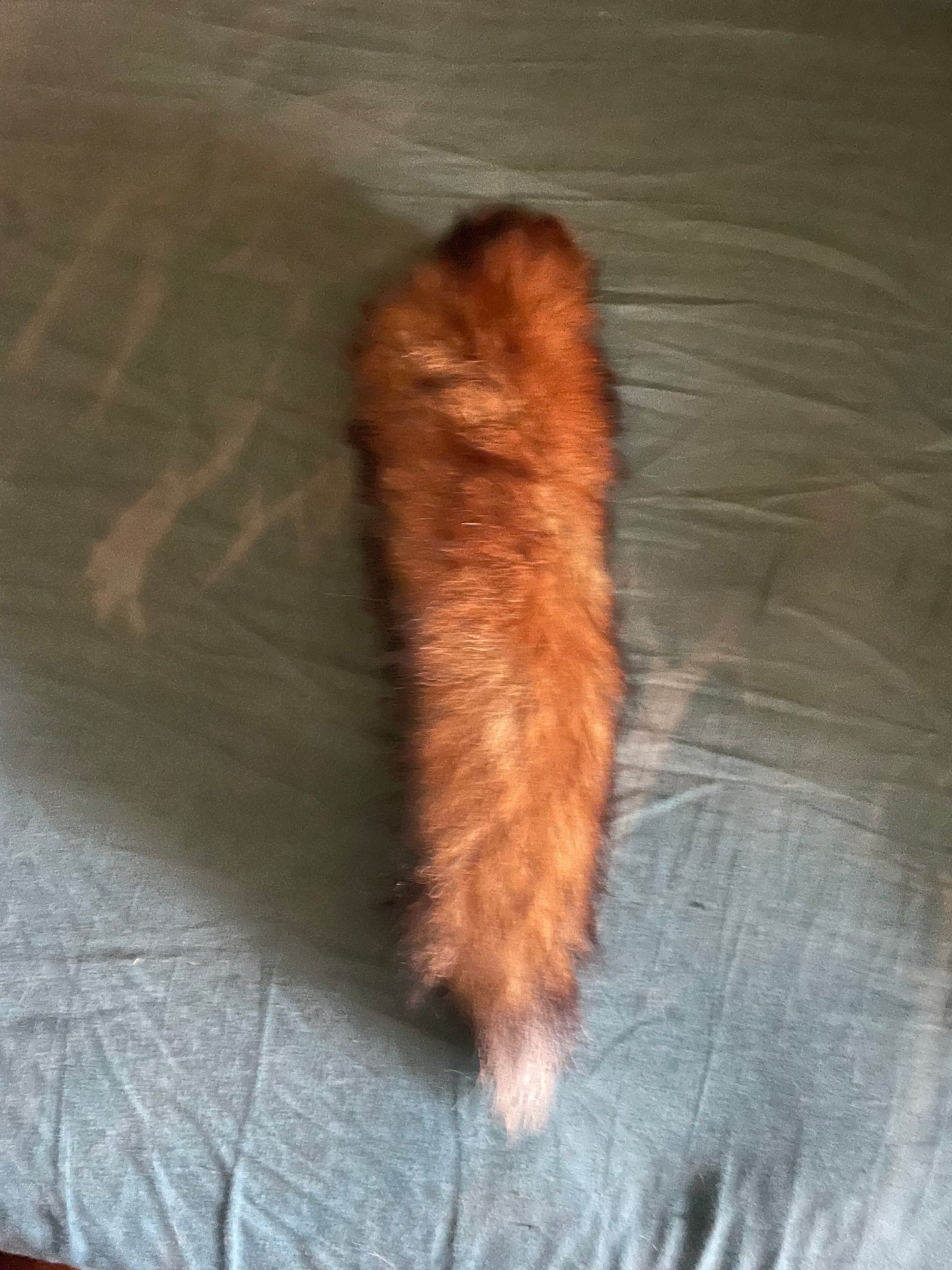 Foxtail Keyring