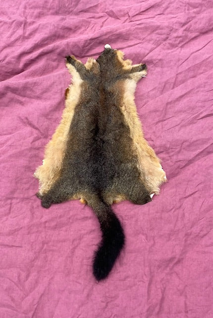 NZ Possum Pelt