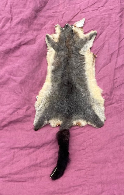 NZ Possum Pelt