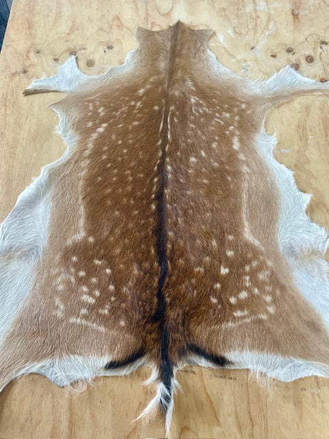 Australian Spotty Fallow Deer Hide